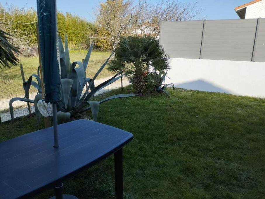 Superbe 2 Pieces - Centre Appartement